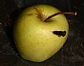 Picture Title - Strong apple. 