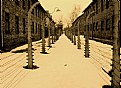 Picture Title - Auschwitz I.
