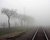Foggy Track