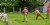 Knife Throwing