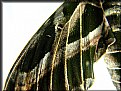 Picture Title - Dead Moth's Wing