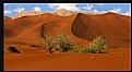 Picture Title - Arabian Desert