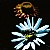 shadw 2