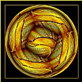 Picture Title - Yellow Fish Glass Abstract