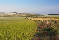 Picture Title - English Summer Morning