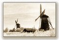 Picture Title - Windmills