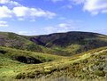 Picture Title - Another view from the Longmynd