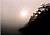 Misty Morning