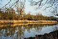 Picture Title - Early Spring-river Odra 