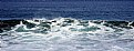 Picture Title - "Gaviotas y Olas" 12