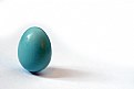 Picture Title - Robin's Egg iii