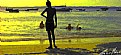 Picture Title - WaitFor...