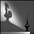 Picture Title - shadow of a cock...