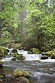 Picture Title - Oregon Waterfall