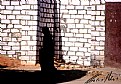Picture Title - Oasi'sShadow