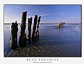 Picture Title - Blue Paradise