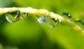 Picture Title - Inside the Droplets