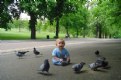 Picture Title - Boy & Pigeons