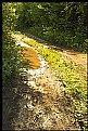 Picture Title - path