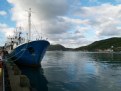 Picture Title - St. John's Harbour I