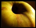 Picture Title - Adam's apple