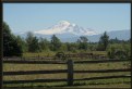 Picture Title - Mt. Baker