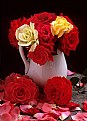 Picture Title - Roses in Milk Pitcher