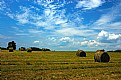 Picture Title - Rolled Hay