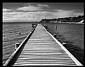 Picture Title - daveys bay