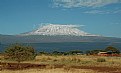 Picture Title - Mighty Kilimanjaro