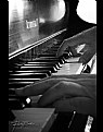 Picture Title - Piano Hands