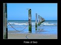 Picture Title - Poles at sea