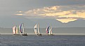 Picture Title - sun through sails, seattle