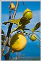 Picture Title - yellow on blue
