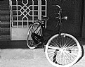 Picture Title - Bicycle