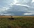 Rainstorm on the Mara