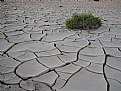 Picture Title - Dry Earth...