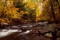 Picture Title - Fall 2005 - Harriman, NY