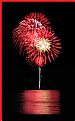 Picture Title - Potted Fireworks