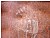 traces on rust