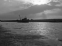 Picture Title - leave...