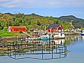 Picture Title - Fishing Harbour