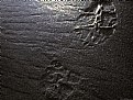 Picture Title - Sandprint
