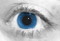 Picture Title - Blue Eye