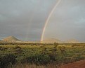 Picture Title - Tsavo Delight