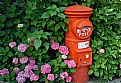 Picture Title - The mailbox is not lonely