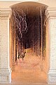 Picture Title - Golden Passage