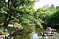 Picture Title - Japanese Garden - lake 4