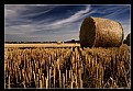 Picture Title - Bale Field 1