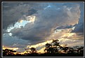 Picture Title - Bushveld Sunset